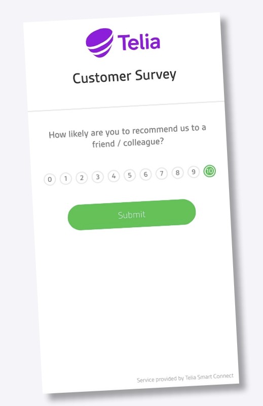 Customer Satisfaction Survey.001